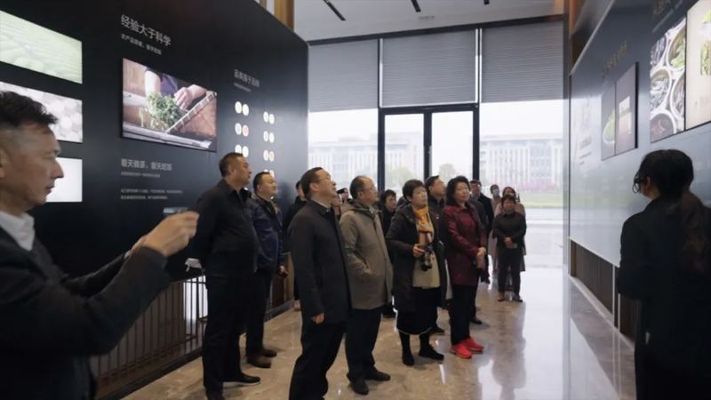 有关于第二届中国双世遗名山对话  茶韵十足的新闻(11)