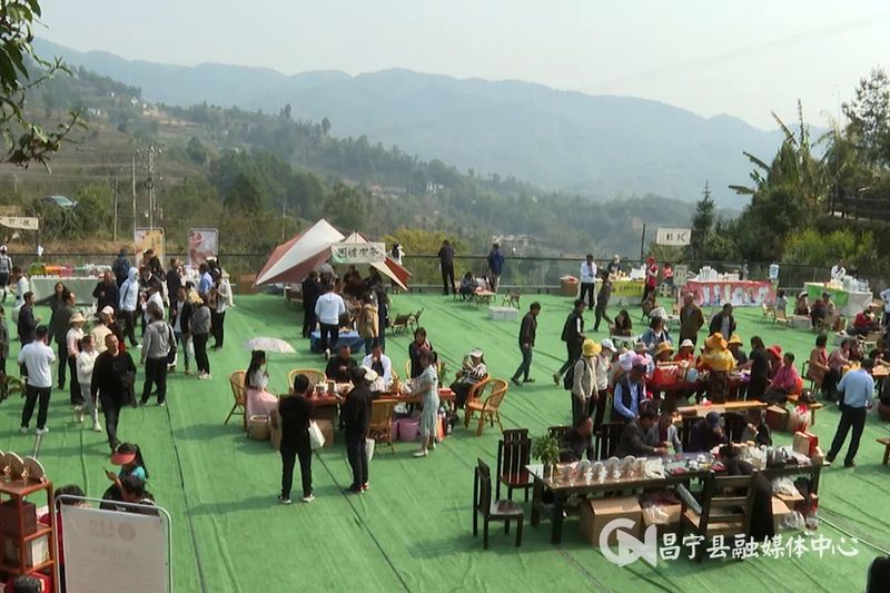 有关于​2023年“昌宁邀您来采茶”主题活动启动的信息(5)