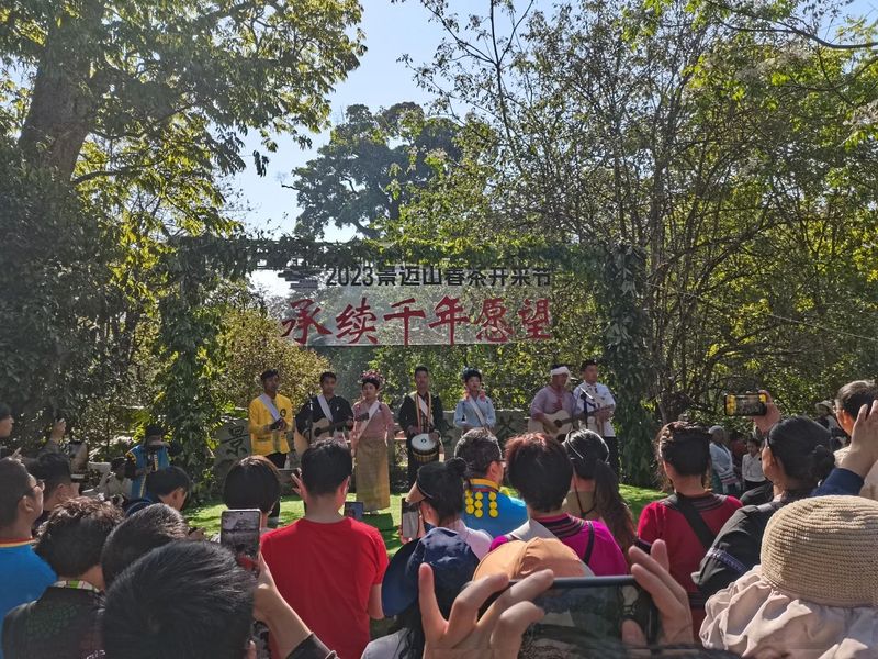 有关于来自茶林的呼唤,多地迎来春茶开采的相关内容(1)