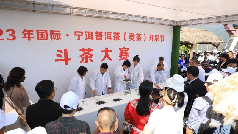 有关于来自茶林的呼唤,多地迎来春茶开采的相关内容(8)