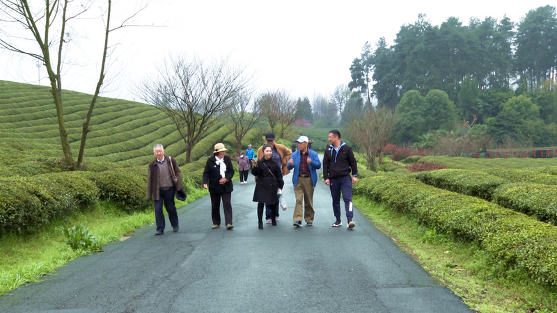 关于湄潭:景色无限好,引来齐鲁客的消息