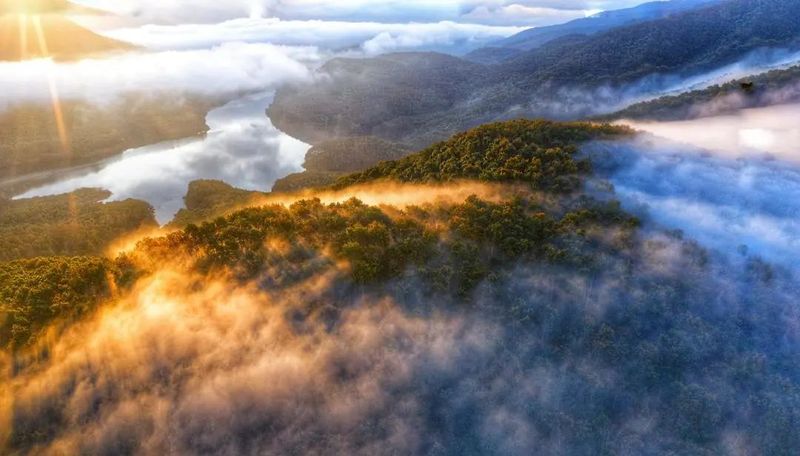 关于象往的地方·向往的好茶 走进普洱茶的朝圣之地的相关内容