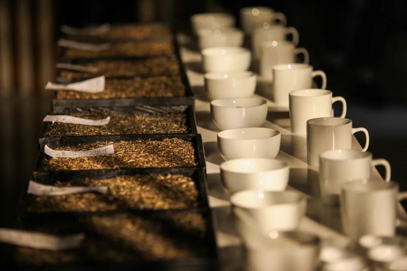 关于象往的地方·向往的好茶 走进普洱茶的朝圣之地的相关内容(3)