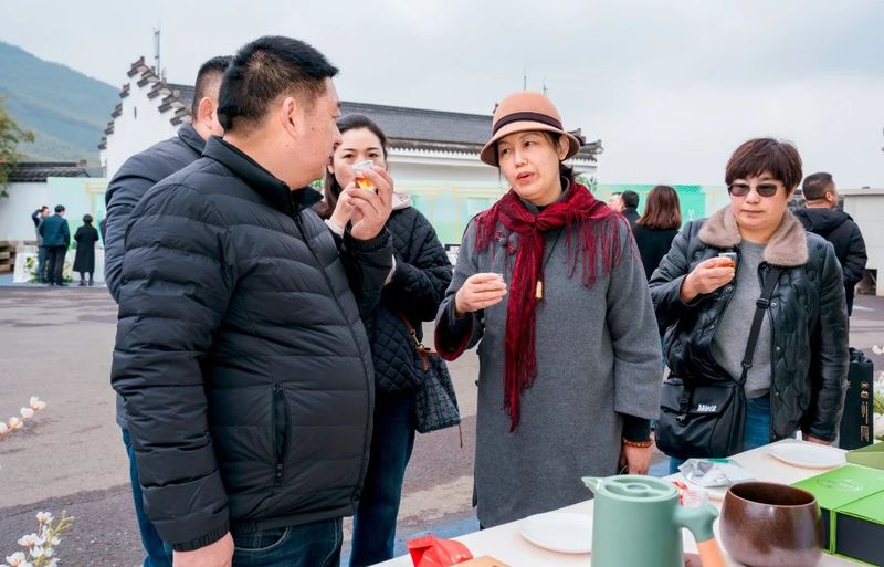 关于阳羡早春茶开采节开幕啦！的相关内容(13)