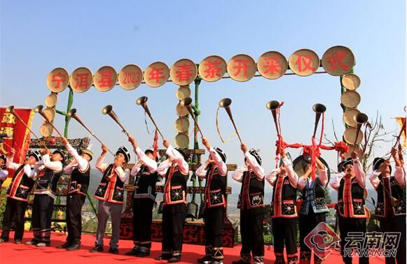 关于来宁洱茶山，赴一场春日之约——2023年国际·宁洱普洱茶（贡茶）开采节的消息(1)