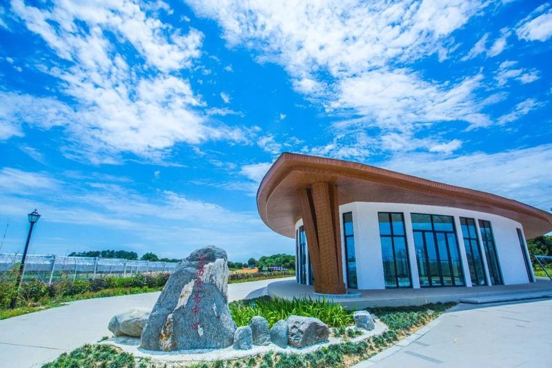 关于雅安“蒙顶山茶”品牌价值43.99亿元！的信息(5)