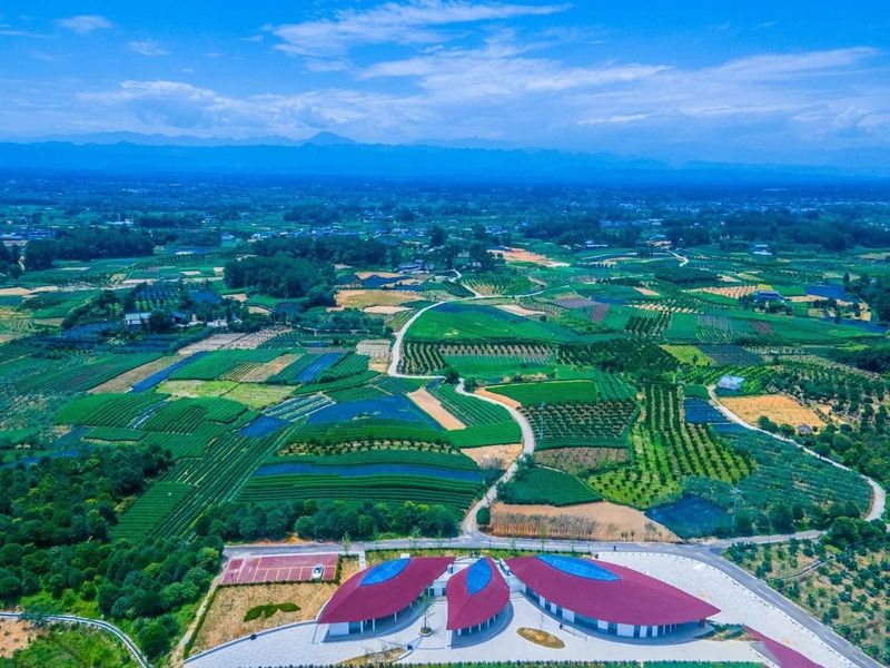 关于雅安“蒙顶山茶”品牌价值43.99亿元！的信息