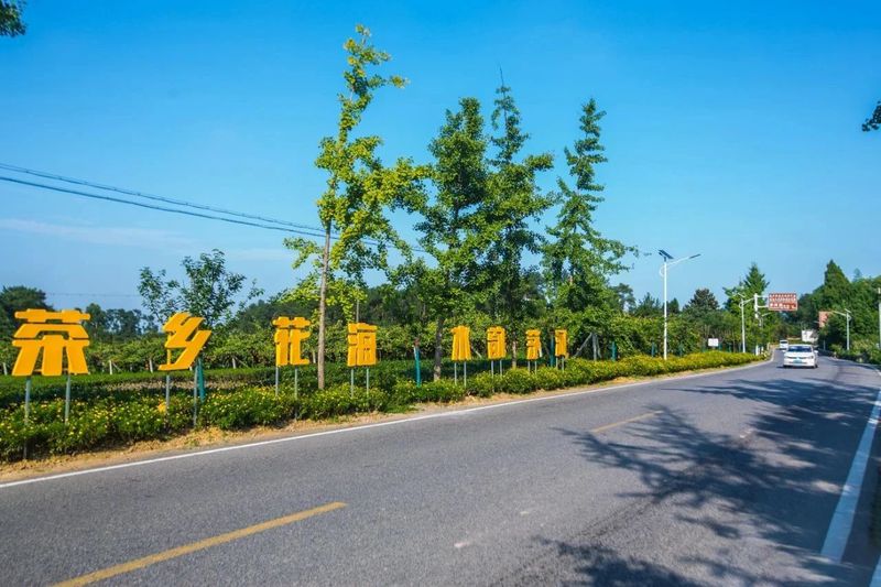 关于雅安“蒙顶山茶”品牌价值43.99亿元！的信息(3)