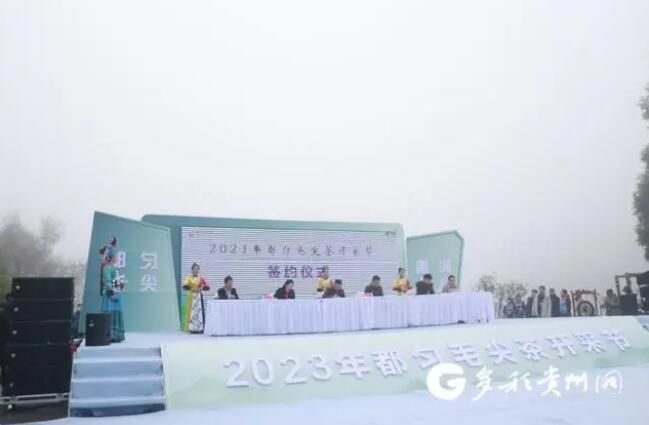 有关于春茶首采 都匀毛尖茶现场签约20亿元的资讯