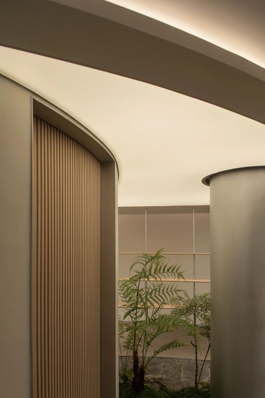 有关于安吉白茶：两山间，听风煮茶的消息(21)