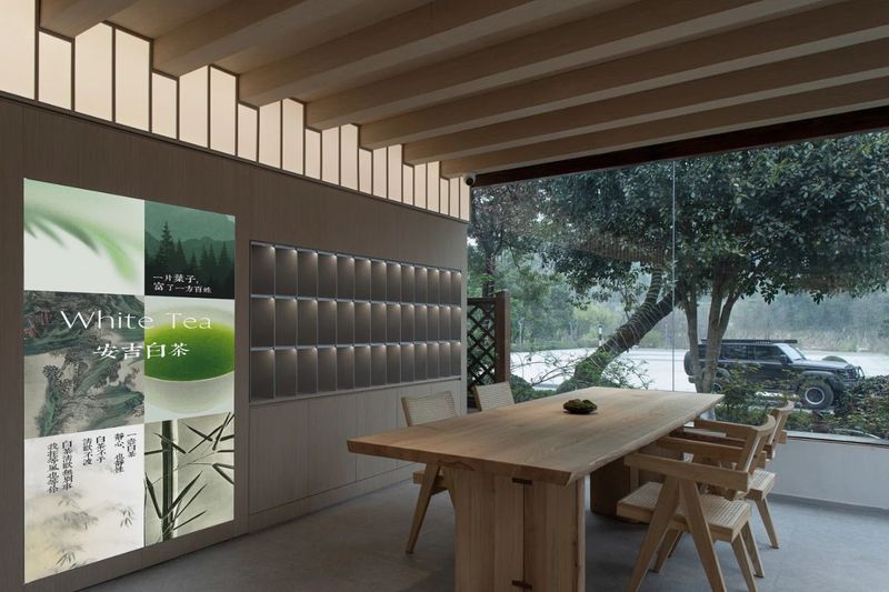 有关于安吉白茶：两山间，听风煮茶的消息(25)