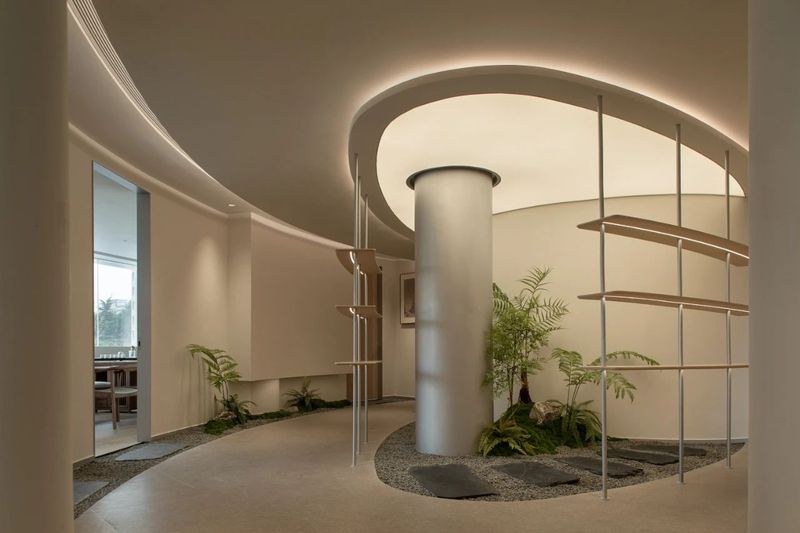 有关于安吉白茶：两山间，听风煮茶的消息(19)