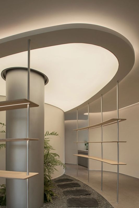 有关于安吉白茶：两山间，听风煮茶的消息(18)