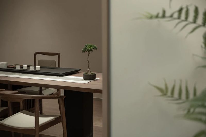 有关于安吉白茶：两山间，听风煮茶的消息(20)