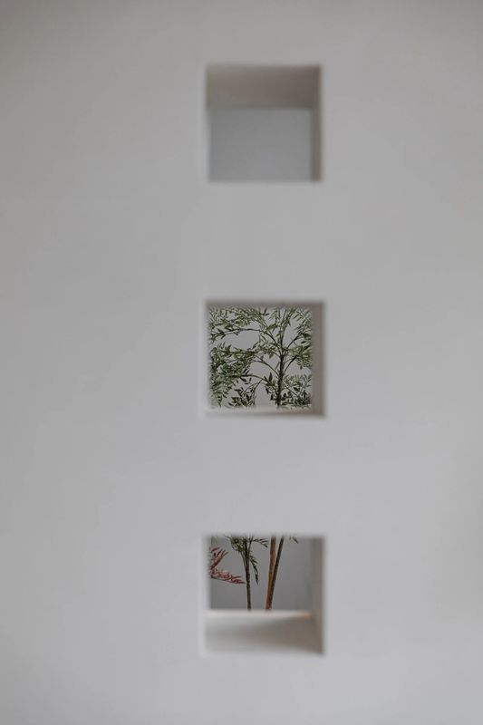 有关于安吉白茶：两山间，听风煮茶的消息(30)