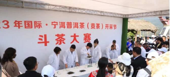 关于2023年国际·宁洱普洱茶（贡茶）开采节启幕的消息(6)