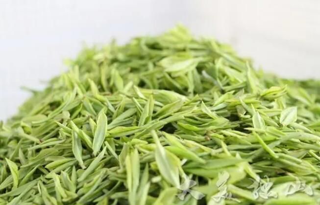 有关于独山县：春回大地茶飘香 明前春茶采摘忙的内容(4)