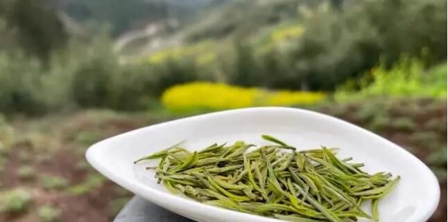 关于忠县早春“第一鲜”！“头茬”白茶，开采！的消息(7)