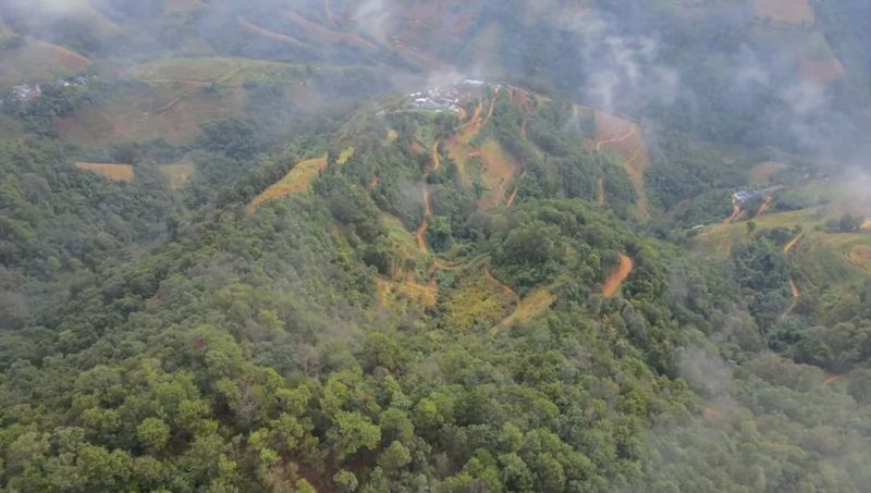 关于施甸：首批春茶开采 茶农采收忙的资讯(3)