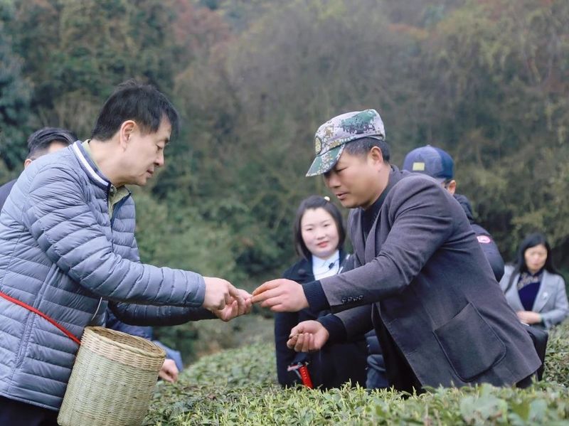 有关于千年茶韵飘香 濮存昕循着这味清香来雅安的相关信息(3)