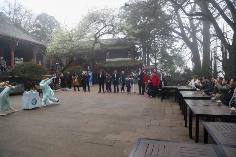 有关于千年茶韵飘香 濮存昕循着这味清香来雅安的相关信息(2)