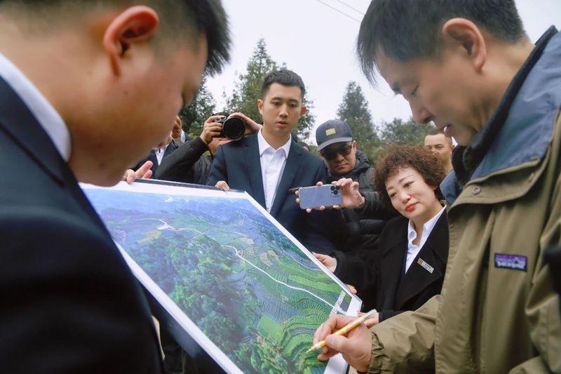 有关于千年茶韵飘香 濮存昕循着这味清香来雅安的相关信息(1)