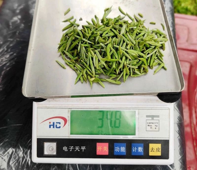 关于助力茶叶提质增产！湄潭茶叶专家组开展茶园测产验收的消息(3)