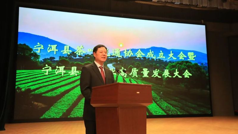 有关于宁洱县茶叶流通协会成立大会暨宁洱县茶产业高质量发展大会召开的信息(3)