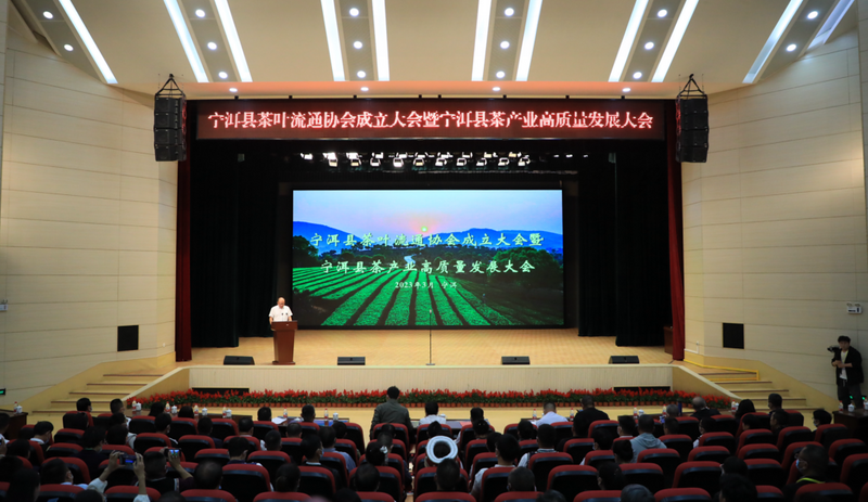 有关于宁洱县茶叶流通协会成立大会暨宁洱县茶产业高质量发展大会召开的信息