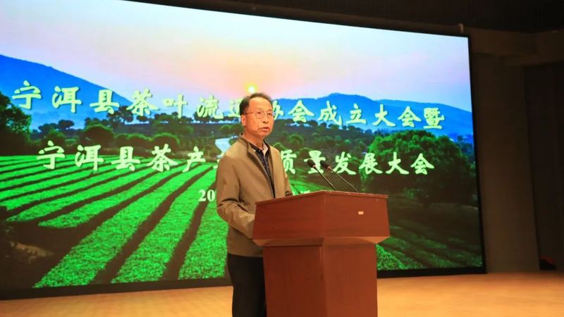 有关于宁洱县茶叶流通协会成立大会暨宁洱县茶产业高质量发展大会召开的信息(4)