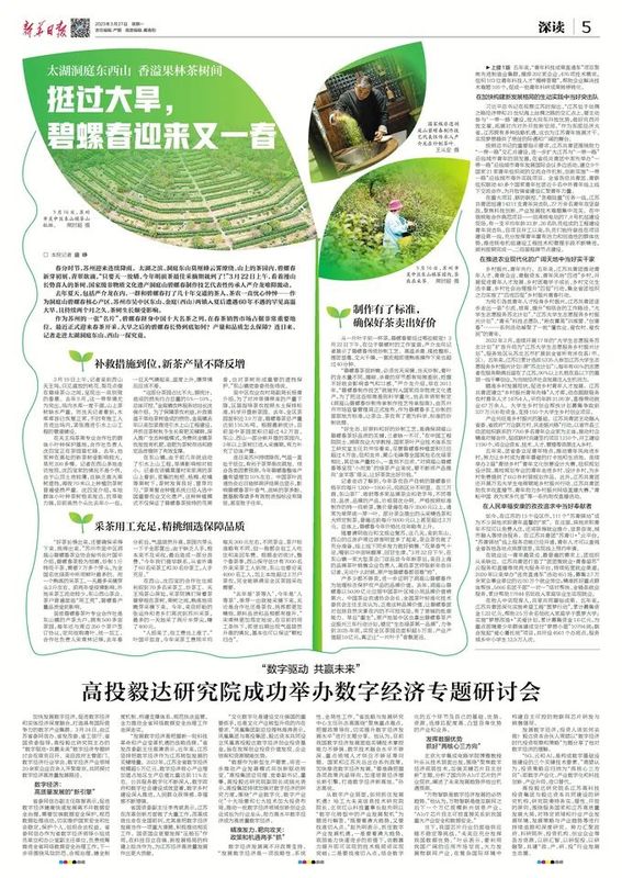 关于挺过大旱，碧螺春迎来又一春的内容