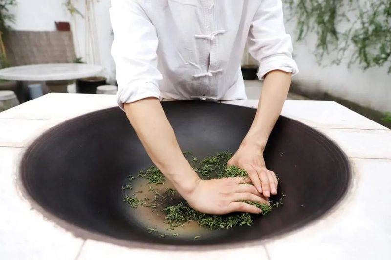 关于挺过大旱，碧螺春迎来又一春的内容(9)