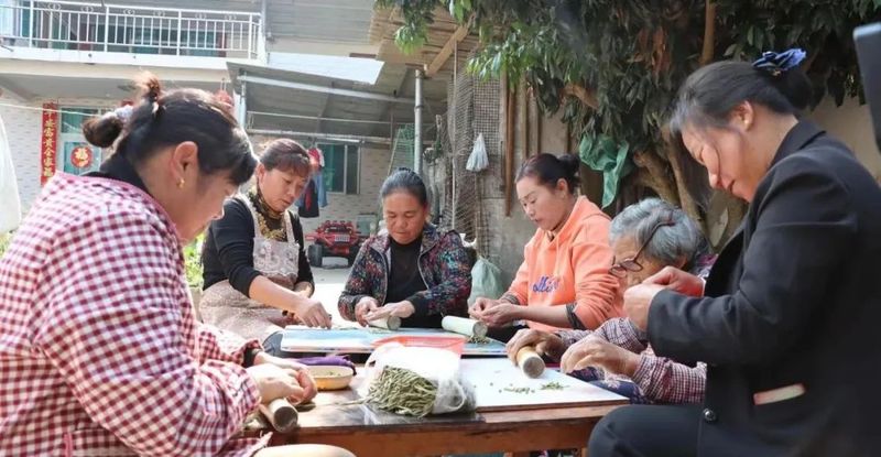 有关于宁洱：小小玉环茶 “卷”出幸福新生活的相关内容(3)