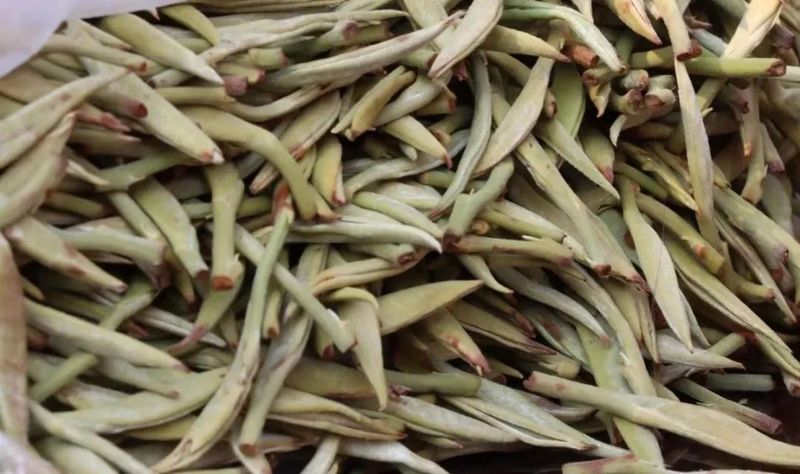 有关于宁洱：小小玉环茶 “卷”出幸福新生活的相关内容(1)