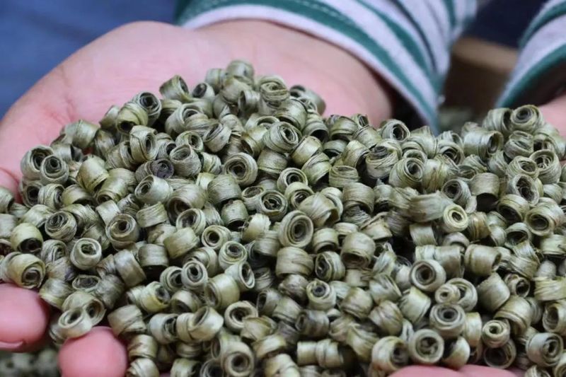 有关于宁洱：小小玉环茶 “卷”出幸福新生活的相关内容