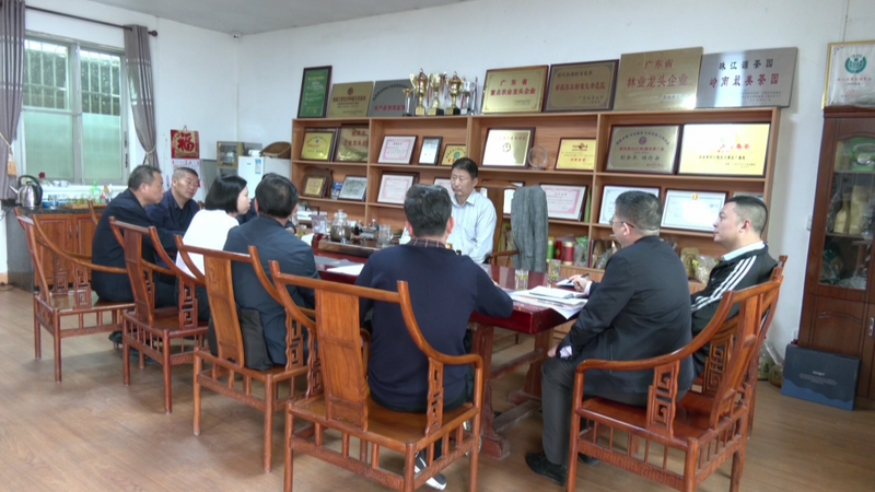 关于沈河民到翁源调研茶叶产业化发展情况的资讯