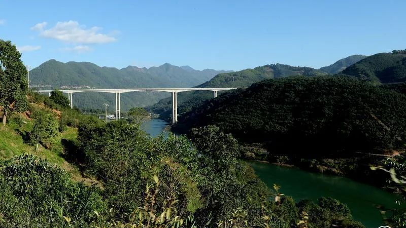 关于临翔昔归古茶园茶旅融合新体验的资讯