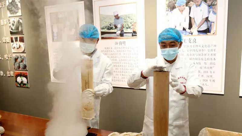 关于临翔昔归古茶园茶旅融合新体验的资讯(4)