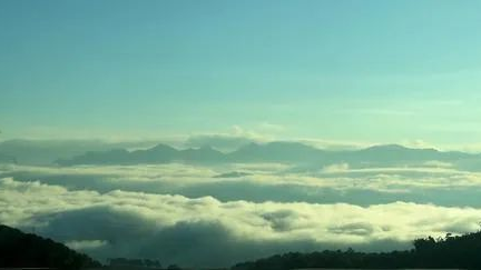 关于临翔昔归古茶园茶旅融合新体验的资讯(1)