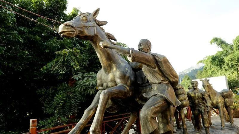 关于临翔昔归古茶园茶旅融合新体验的资讯(6)