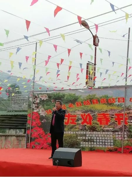 有关于赋能古老茶区中国式现代化建设茶叶所专家为古茶树保护提供科技服务的新闻(1)