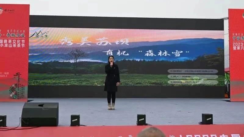 有关于中国彝茶 香飘马边——2023中国彝茶文化节暨第六届小凉山采茶节开幕的内容(5)