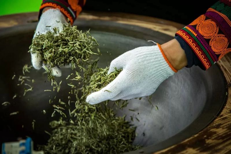 有关于中国彝茶 香飘马边——2023中国彝茶文化节暨第六届小凉山采茶节开幕的内容(7)