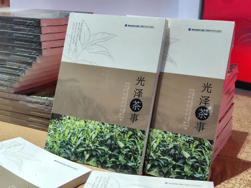 关于助力茶业步入高质量发展快车道！光泽红茶系列团体标准加速推广进程的相关内容(1)
