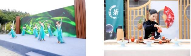 关于 “安吉白茶手工炒茶制作技艺”  非遗大师选树活动举办的相关内容(8)