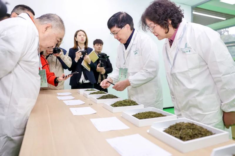 关于 “安吉白茶手工炒茶制作技艺”  非遗大师选树活动举办的相关内容(7)