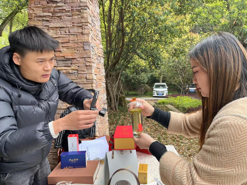 有关于保护人类非遗 发展岳阳黄茶——2023年岳阳黄茶君山银针开茶节启动的资讯(6)