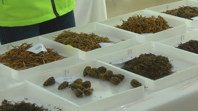 有关于全国评茶员职业技能竞赛总决赛在武夷山市落幕的消息(8)