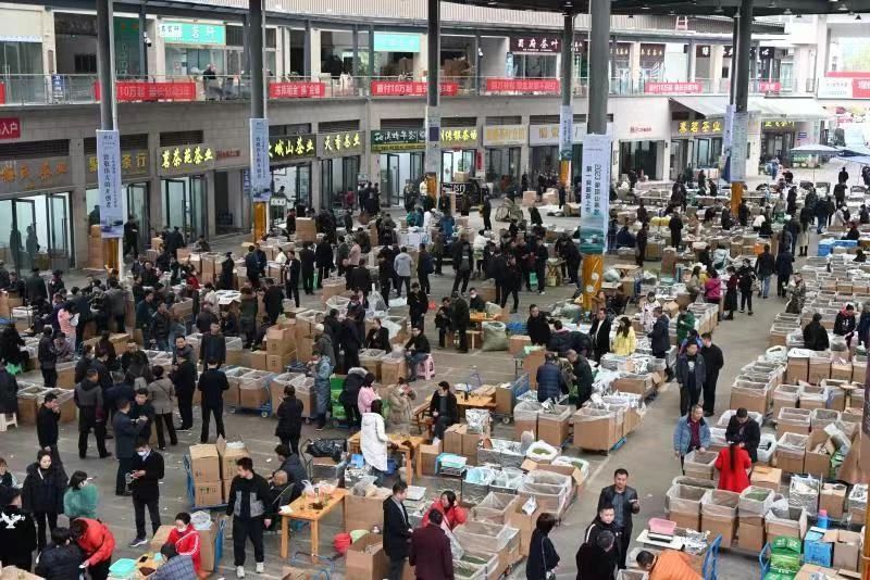 关于春芽萌，万物生--世界茶都2023新茶上市产销对接会成功举行的相关内容(6)