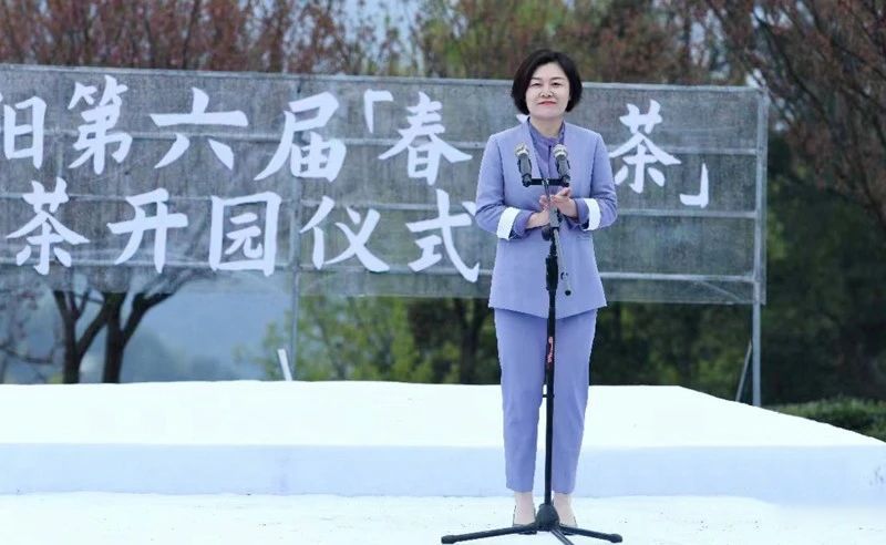 有关于第六届“春之茶”紫阳富硒茶开园季活动启动的消息(3)